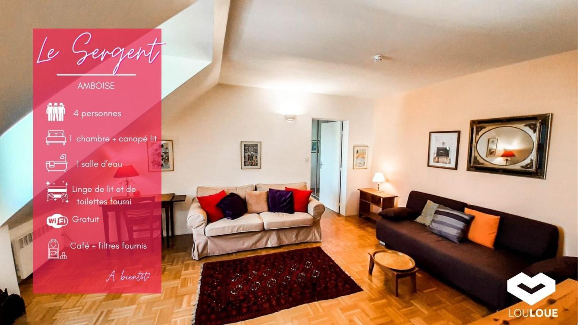 Spacious T2 Apt In City Center. Amboise Exterior foto